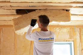 Eco-Friendly or Green Insulation Solutions in Peotone, IL